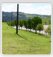 Foto produtos
